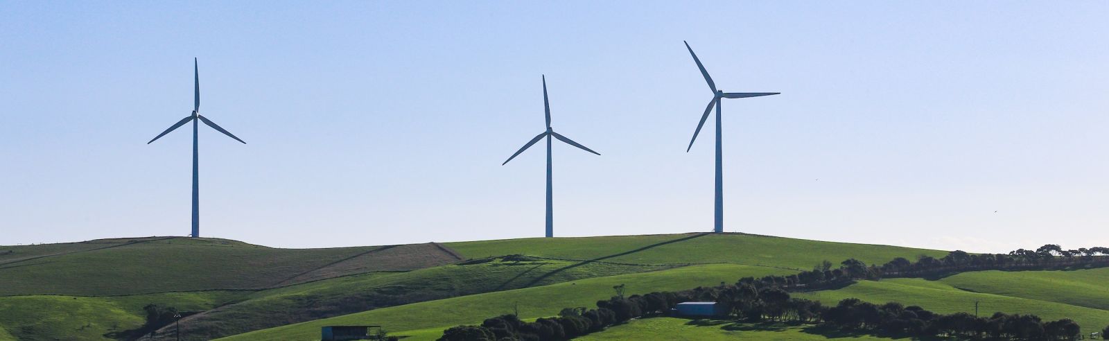 Developing Welsh natural resources