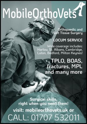 TPLO and soft tissue surgery at your practice!